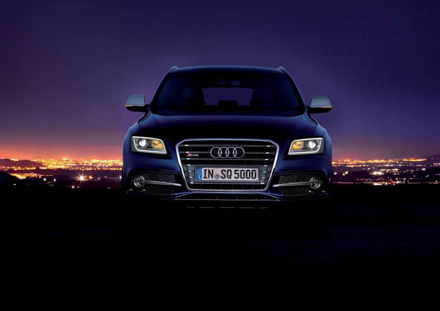  Audi SQ5 TDI (8R) 2013 года  (WW) (фото 10 из 73)